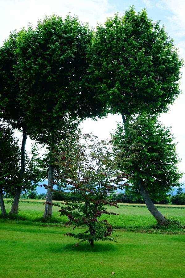 Bed and Breakfast Casa Vola Bisalta Кунео Екстер'єр фото